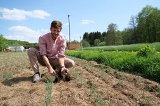 Mulch-Direktpflanzung – Interview mit Johannes Storch