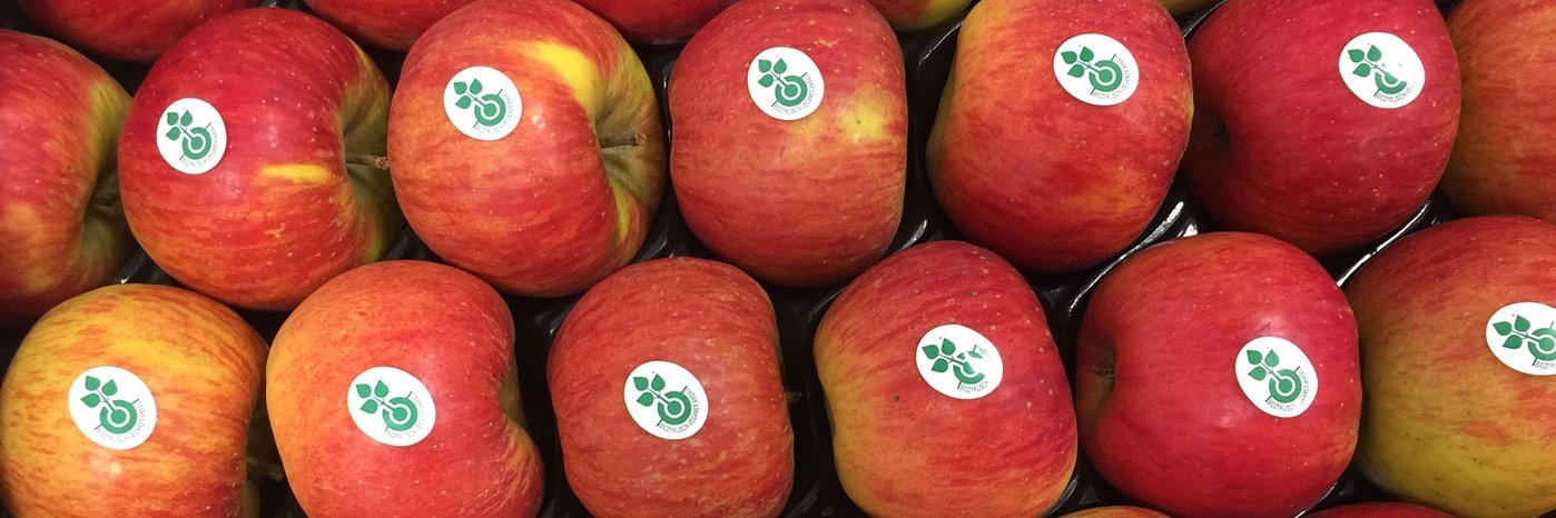 Äpfel mit Stickern des biozyklisch-veganen Anbaus.