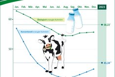 BZL-Infografik: Milchpreis 2023 - Wie viel bekommen Landwirtinnen und Landwirte?