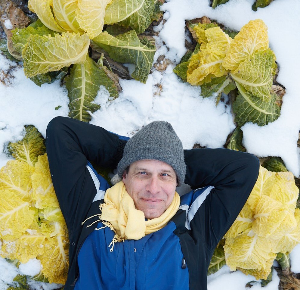 Wolfgang Palme im Schnee im Feld mit Butterkohl, Klick führt zu Großansicht im neuen Fenster
