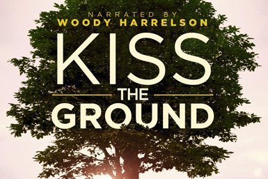 Filmplakat Kiss the Ground.