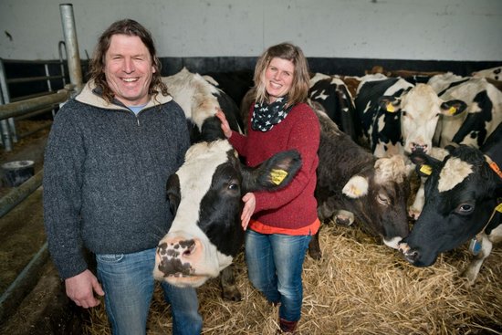 Mann und Frau in einem Kuhstall umgeben von Kühen.