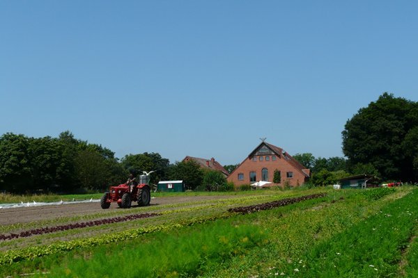 Traktor auf einem Feld des CSA Hof Pente