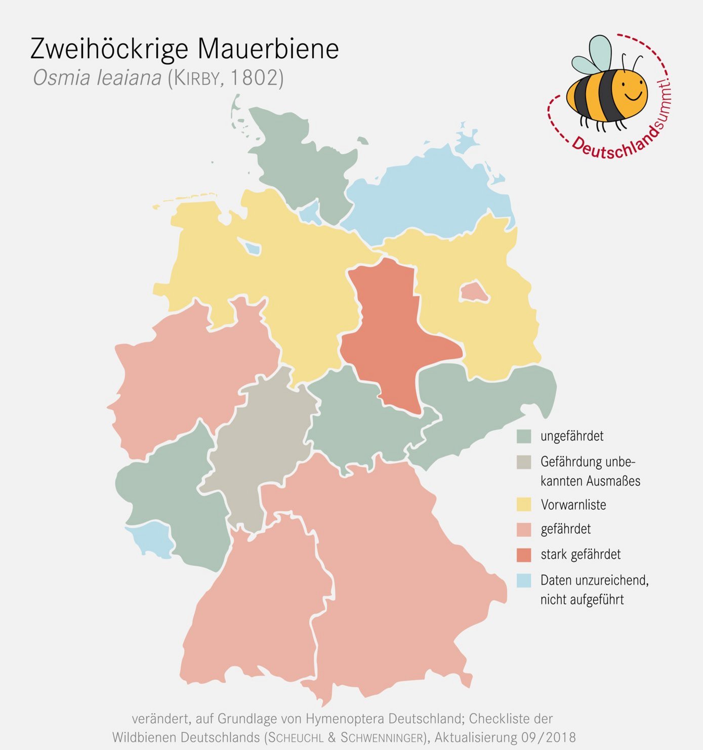 Karte zur Verbreitung der Zweihöckrigen Mauerbine in Deutschland. Klick führt zu Großansicht im neuen Fenster