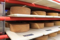 Wie wird Bio-Käse hergestellt?