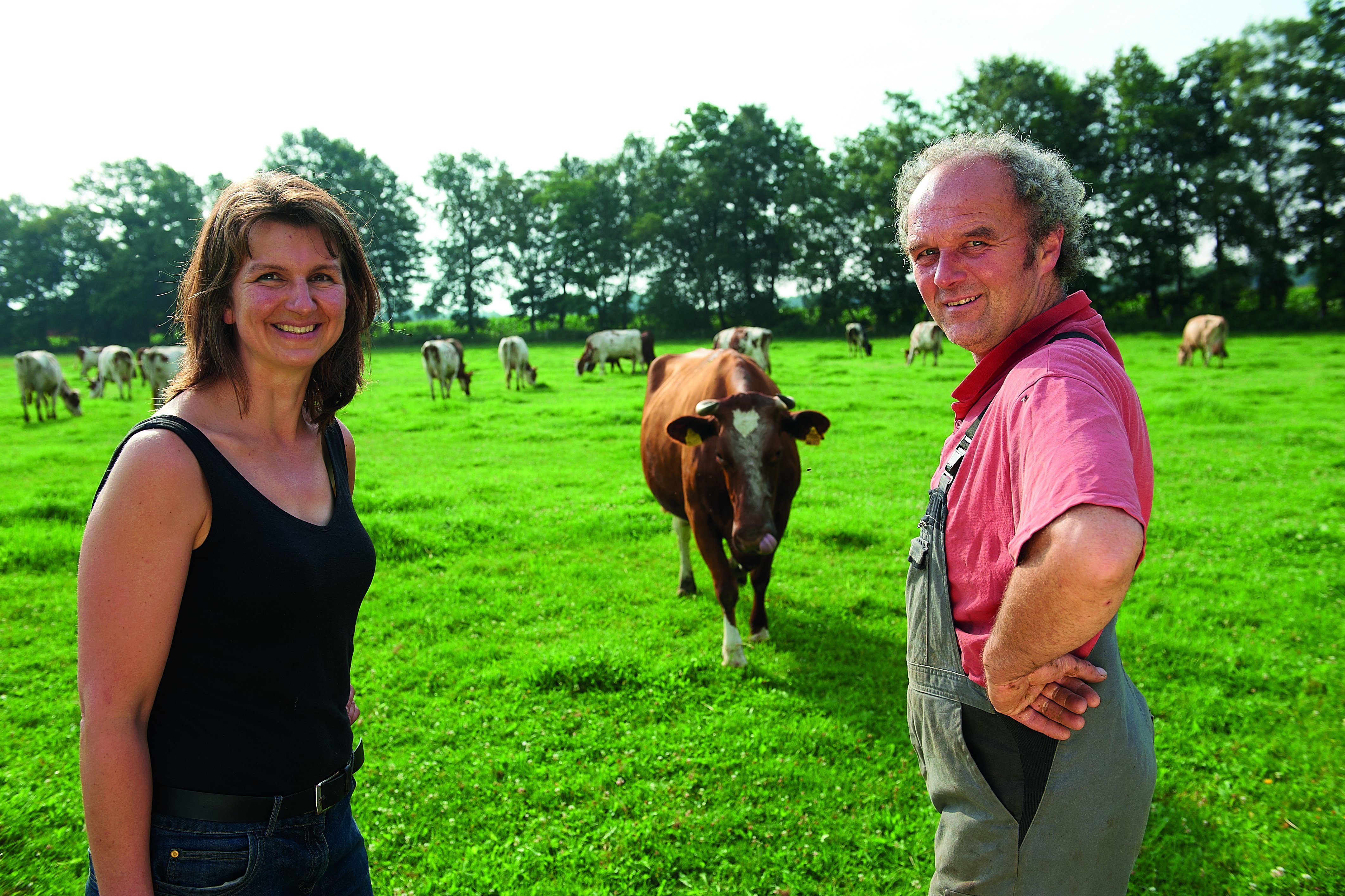 Frau und Mann stehen vor einer Kuh auf der Weide.