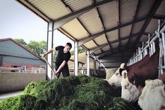 Mehr Milchgeld, mehr Nachhaltigkeit – das Konzept der Hamfelder Bauerngemeinschaft