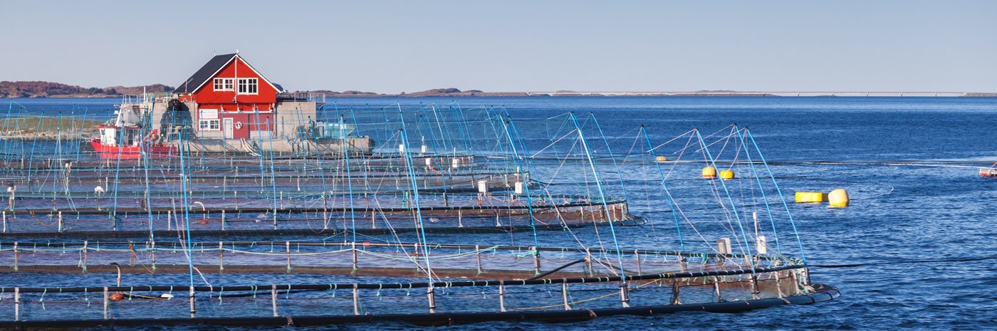 Fischfarm in Norwegen. 