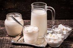Was ist bei der Herstellung von Bio-Milchprodukten zu beachten?