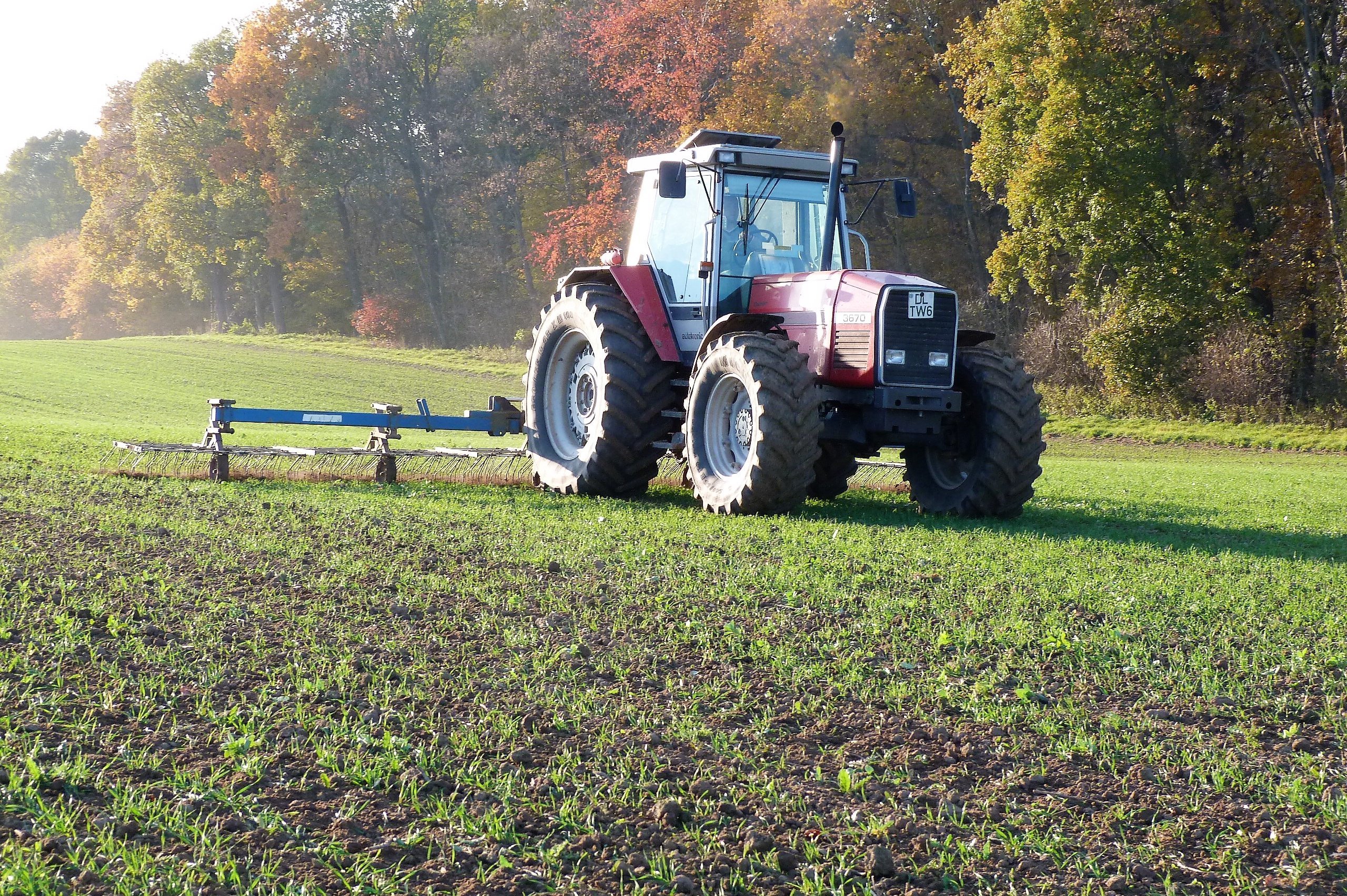 Traktor mit Striegel. Foto: Jürgen Beckhoff