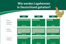 BZL-Infografik: Wie werden Legehennen in Deutschland gehalten?