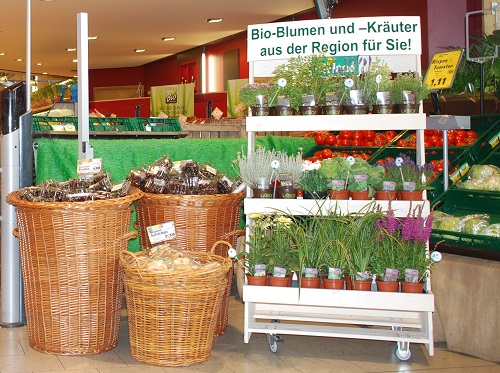 Biokräuter und Zierpflanzen im Supermarkt. Klick führt zu Großansicht im neuen Fenster.