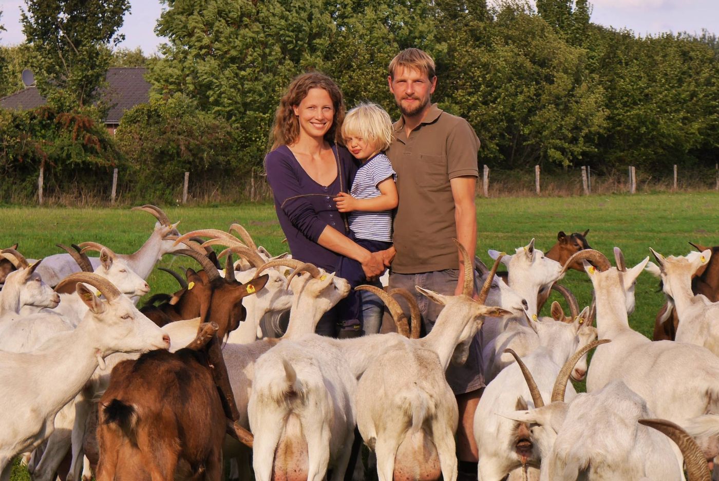 Familie inmitten einer Herde Ziegen