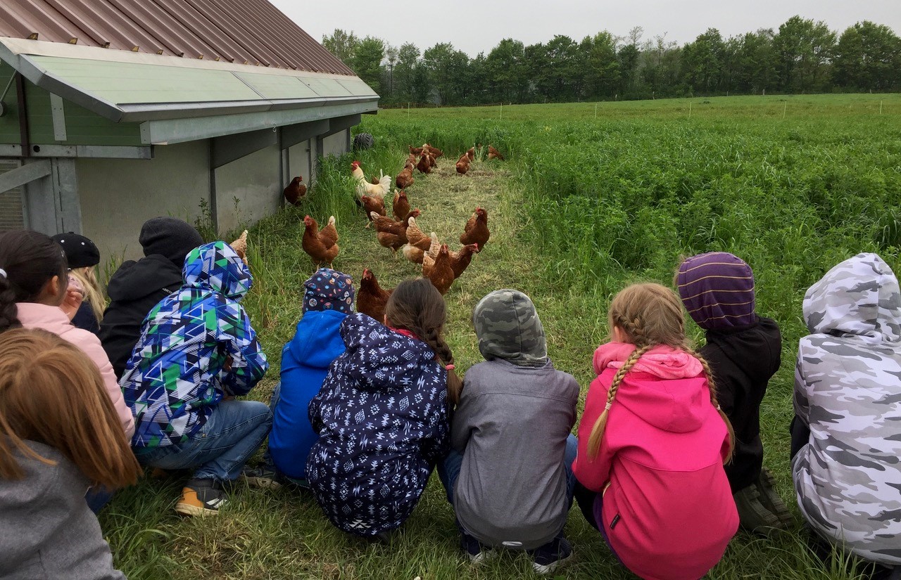 Kinder besuchen die Hühner